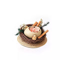 Harbor Bird's Nest