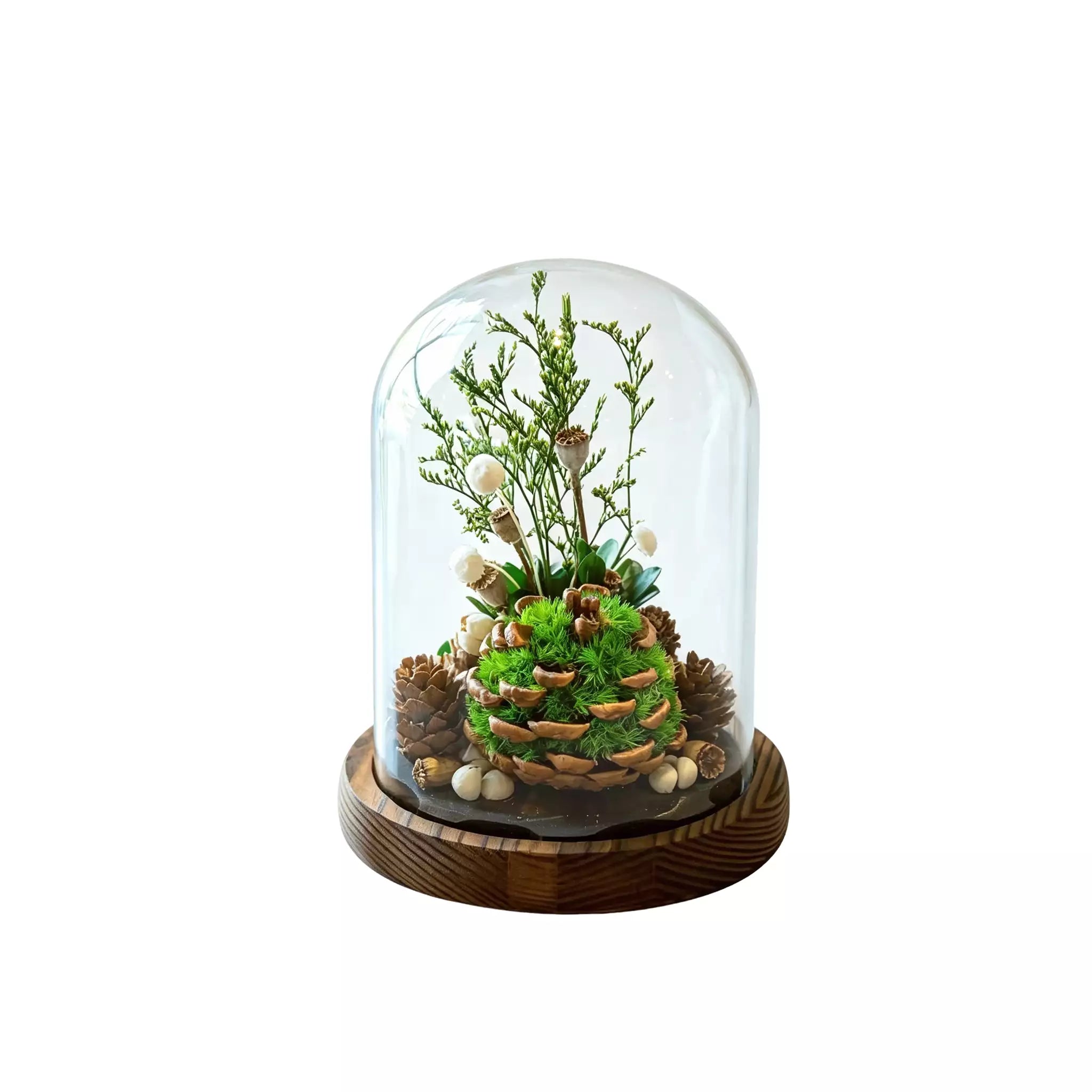 Harbor Green World